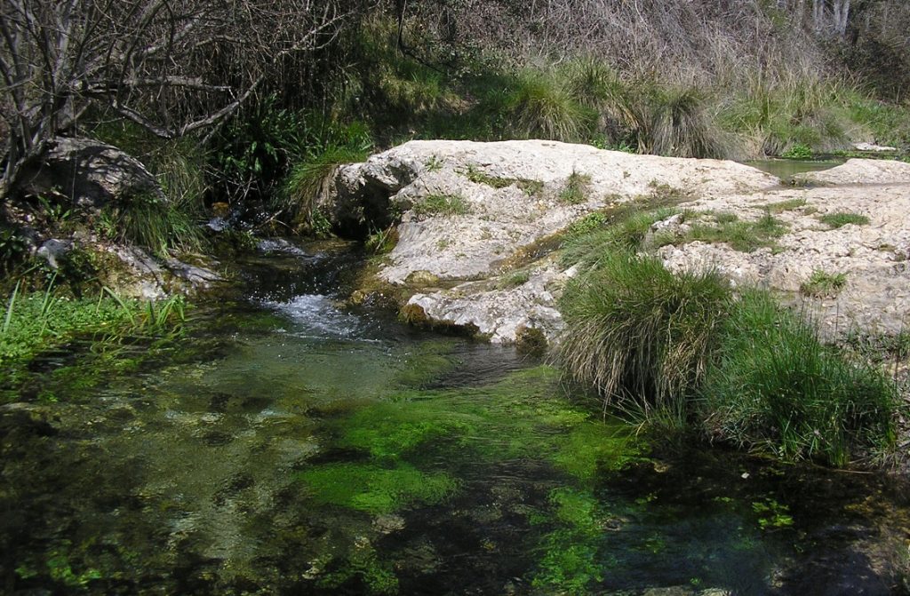 El río Vinalopó en su nacimiento en Banyeres de Mariola.