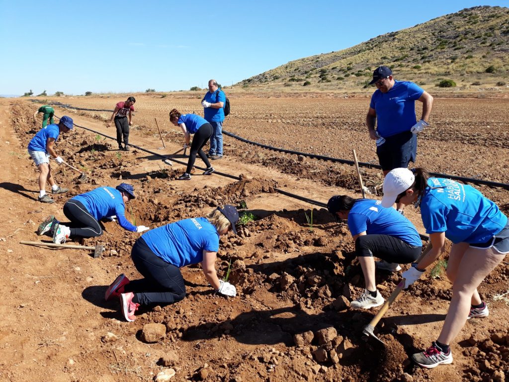 El voluntariado corporativo trabajando en el Mar Menor.