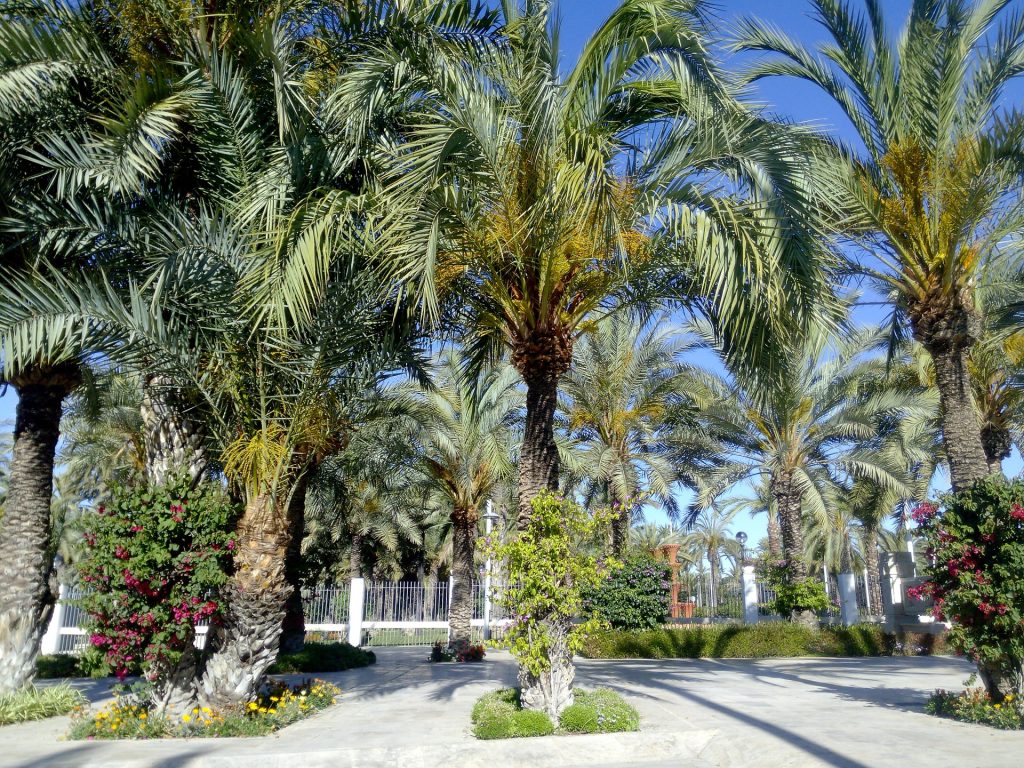 Elche con su Edusi busca afianzar su estrategia de ciudad inteligente.