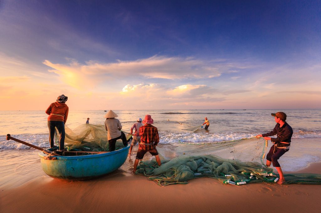 Los científicos plantearon varios escenarios sobre la pesca en los mares.