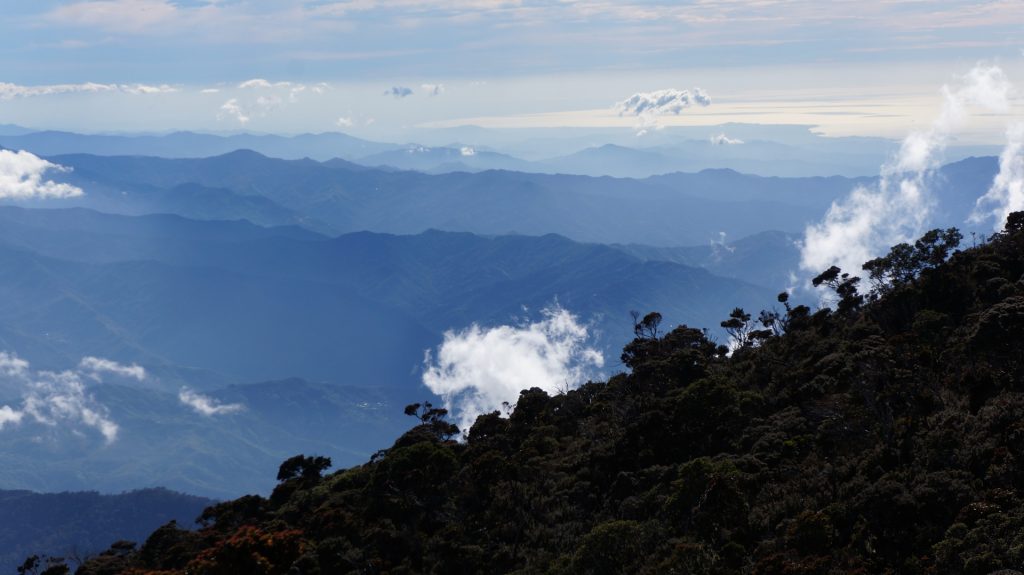 En Sonda, países como Borneo tienen problemas con las reservas naturales porque acaban generando endogamia en las especies.