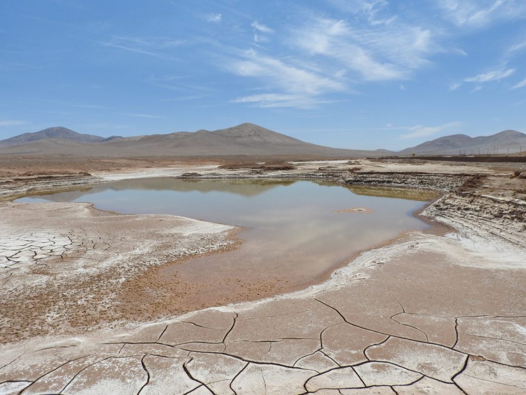 La lluvia en el desierto de Atacama. Carlos González Silva