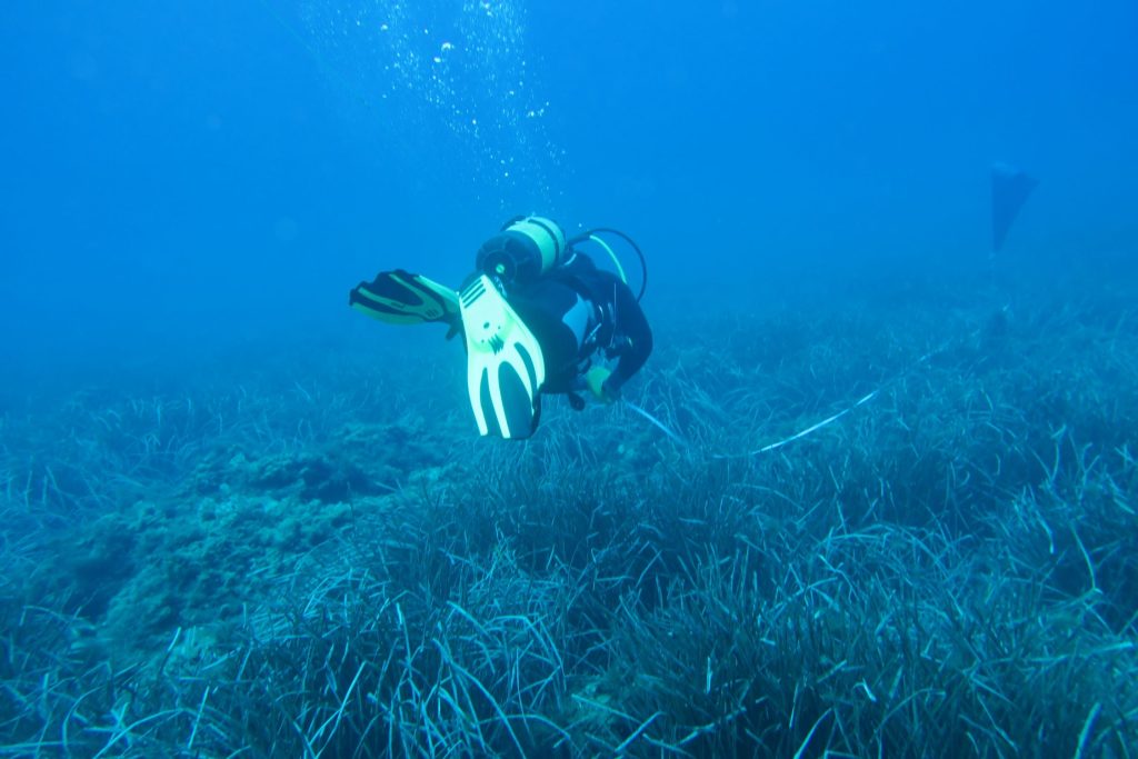 El Instituto de Ecología Litoral ha elaborado un proyecto para marcar cómo actuar en defensa de la costa.