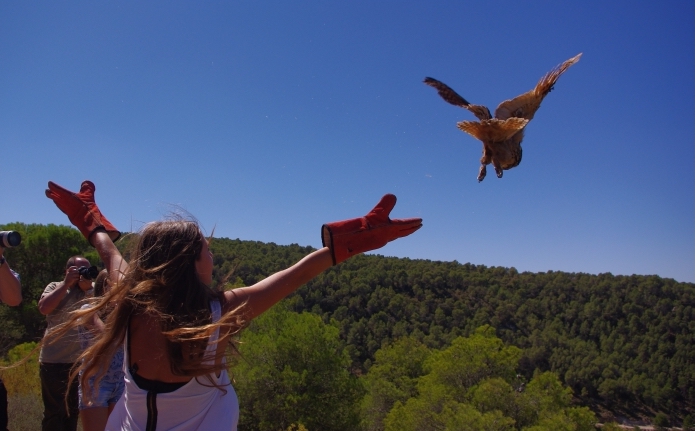 En los Los centros de recuperación de fauna, como el de La Granja, trabajan para reintroducir las especies en su medio natural.