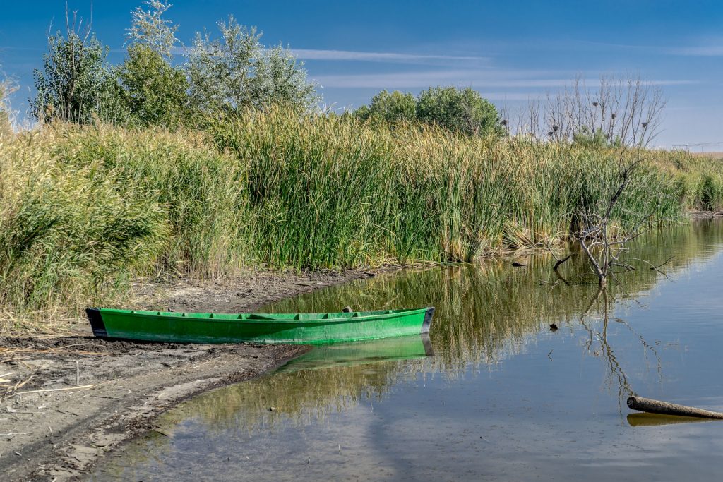 Las temperaturas son reflejo de un invierno que ha sido muy seco ya que no ha llovido ni la mitad de lo que cae habitualmente.