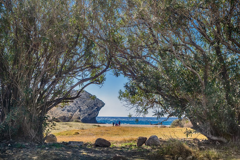 En Cabo de Gata y otras zonas de Andalucía están testeando el proyecto Life Adaptamed.