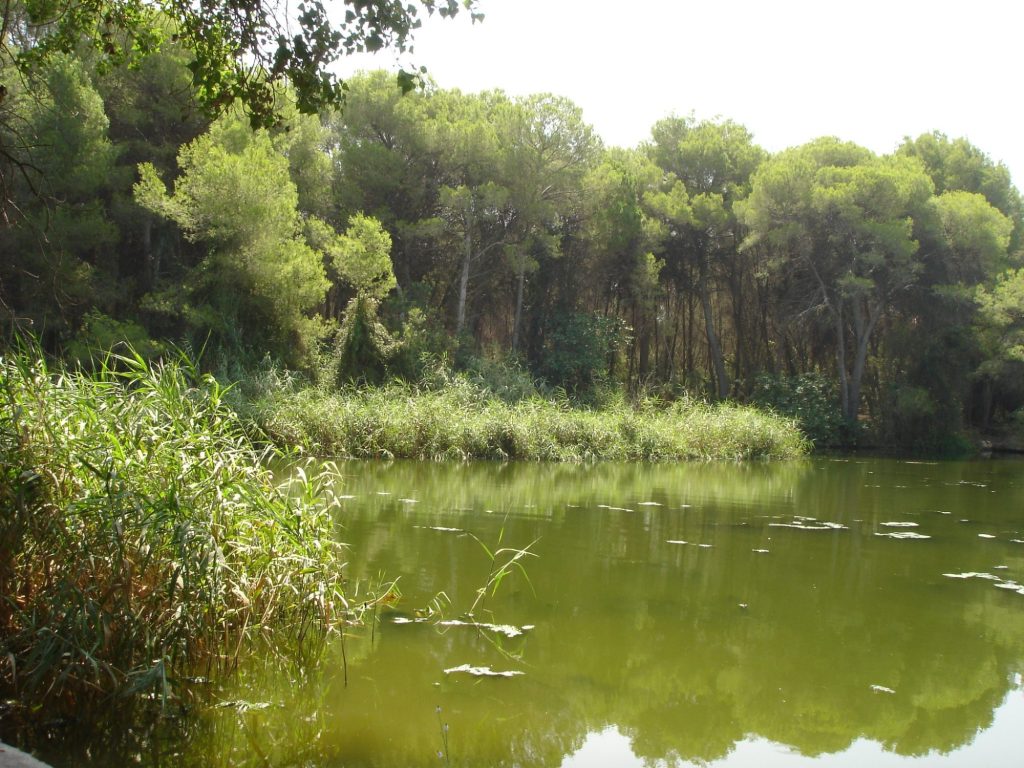 GUARDIAN se ha ideado como un proyecto medioambiental frente al cambio climático para contribuir a la protección de la biodiversidad y las personas de la Vallesa