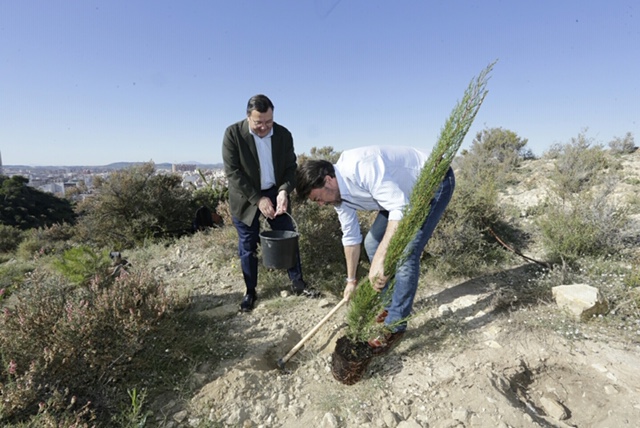 Masatusa —que forma parte del gran árbol empresarial que constituye el Grupo Vectalia—, organizó la plantación de trescientos árboles en el Benacantil.