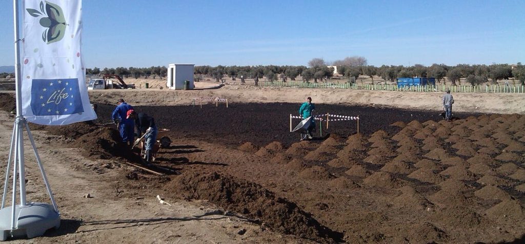 El proyecto Life Regrow trabaja en Mora para recuperar las balsas de alpechín.