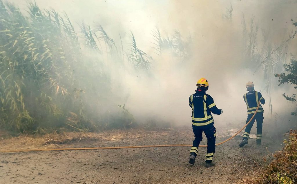 Los medio humanos y técnicos del Consorcio Provincial de Bomberos de la provincia de Alicante luchan sin descanso contra el fuego.