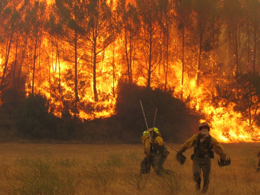 Veranos cada vez más calurosos. Ese es el balance del que alerta la Organización Meteorológica Mundial con datos del hemisferio norte.