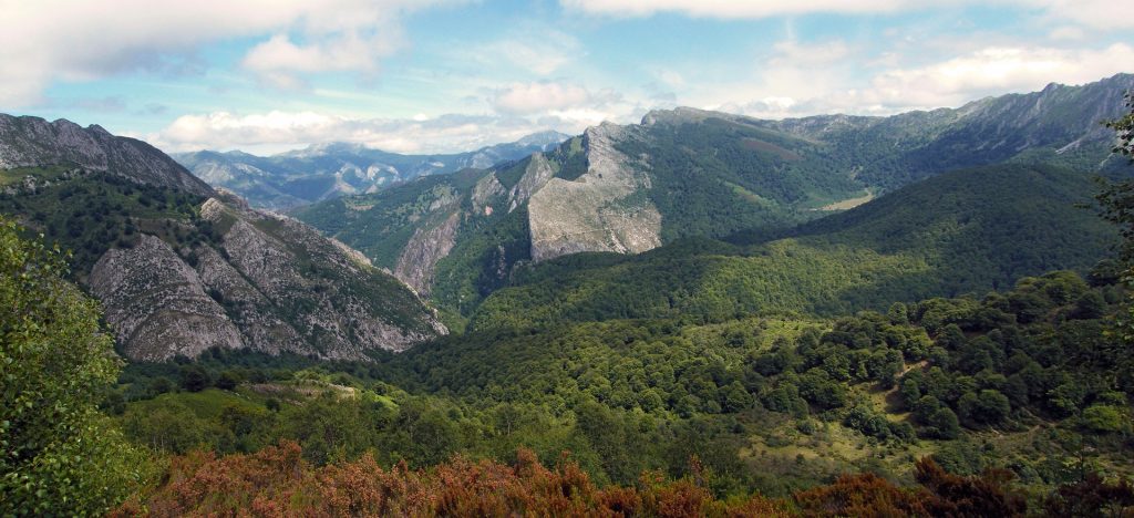 El estudio del CSIC señala los problemas de paisajes como los bosques jóvenes y homogéneos como menos resistentes a los incendios