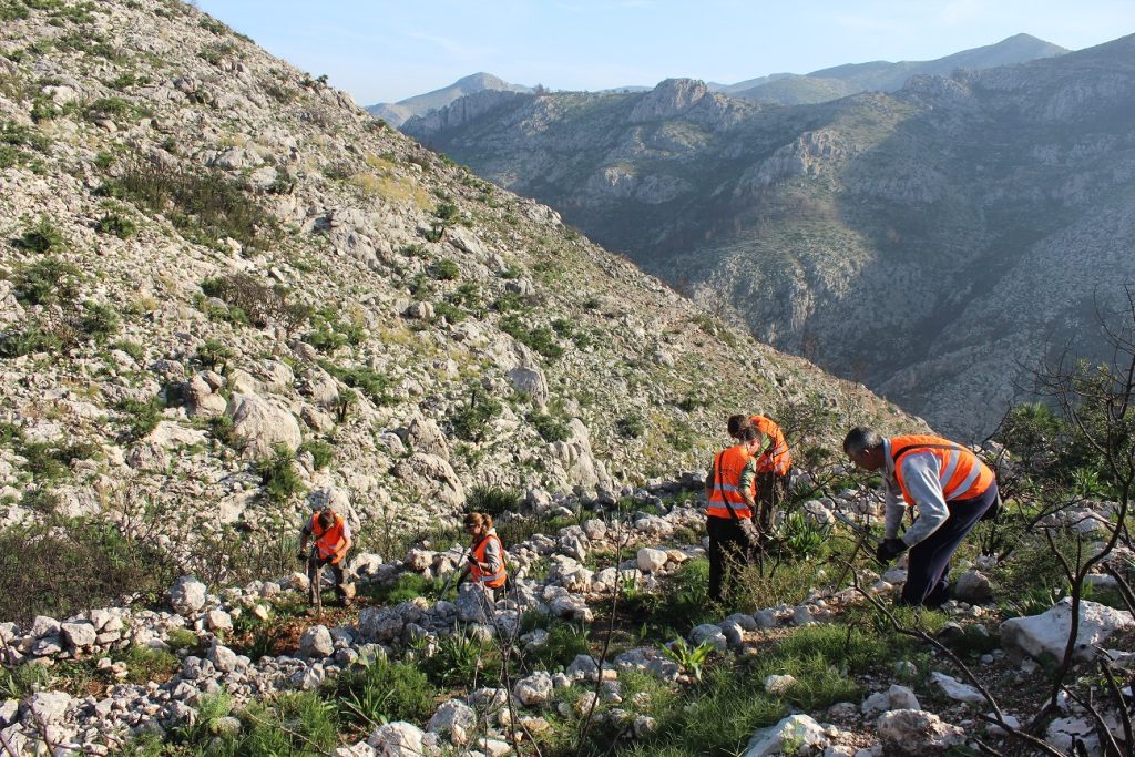 Fundación Aquae acaba de recibir el triple sello Calculo + Reduzco + Compenso, otorgado por el Ministerio de Transición Ecológica.