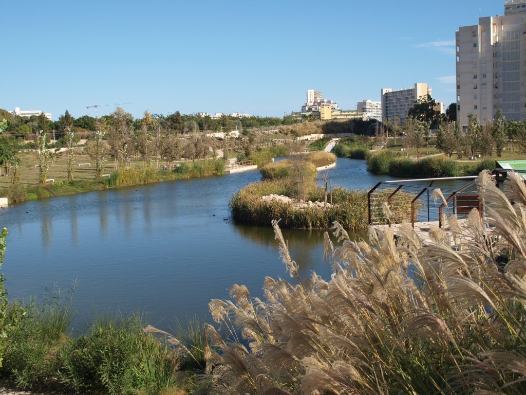 La infraestructura del parque de la Marjal en Alicante es un ejemplo de la recuperación verde que impulsa el pacto social de Hidraqua.