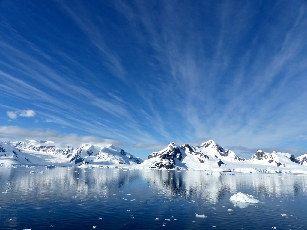 El estudio del IRBio plantea el impacto del hielo en superficie con el fitoplancton marino.