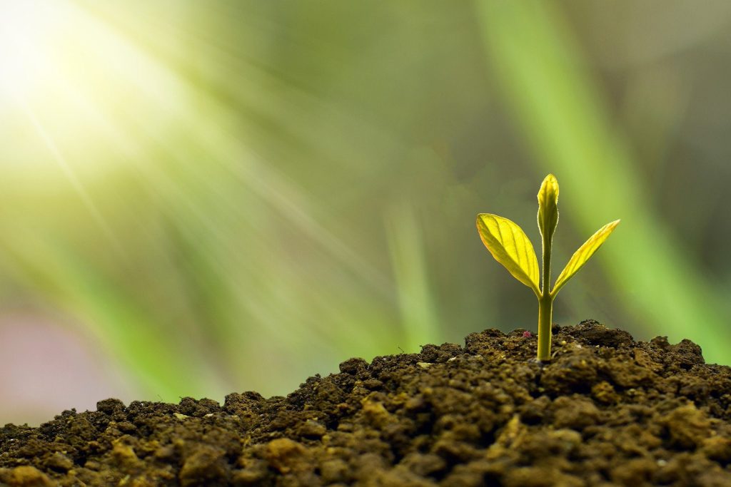 Por primera vez desde la creación del Fondo de Innovación, la Unión Europea invertirá un total de 122 millones de euros en programas para reducir el peso de las emisiones de carbono.