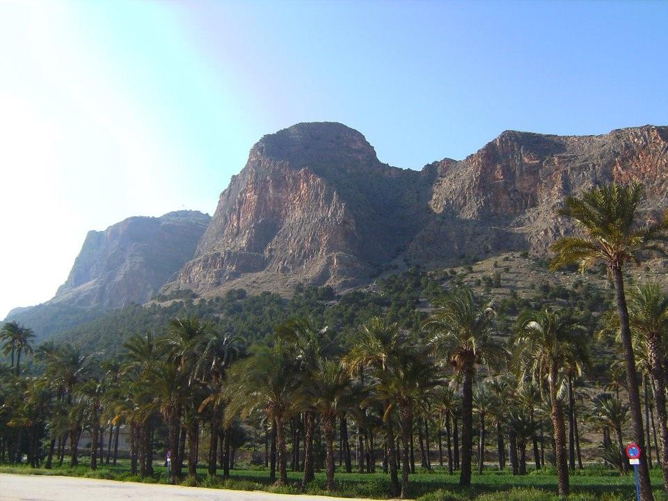 El palmeral, a los pies del monte de san Miguel es una de las últimas actuaciones de la Edusi que gestiona Orihuela.