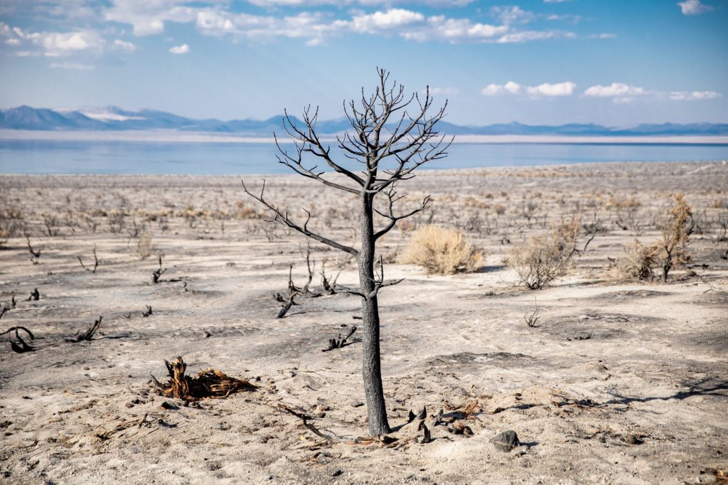 El atlas de catástrofes climáticas refleja la tendencia al alza de estos fenómenos. Foto: Nikolay Maslov