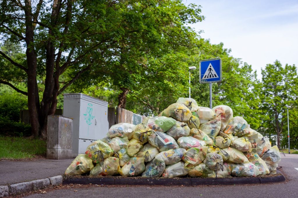 En el Día Mundial de la Alimentación, la ONU recuerda los problemas que genera el desperdicio de estos cuando aún millones de personas que pasan hambre. Foto: Jasmin Sessler