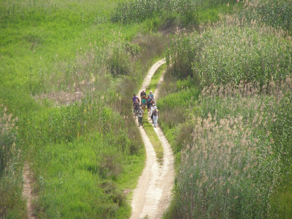 La Diputació de València llevan dos millones de euros entre 2020 y 2021 en proyectos y vías ciclopeatonales que recuperan caminos históricos.