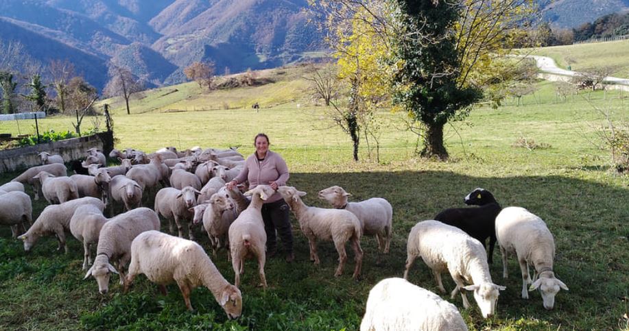 bservatorio de la mujer rural