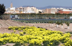 inversión en L’Horta