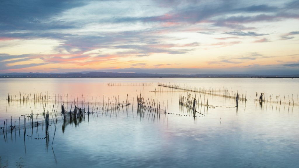 Estación Biológica de l’Albufera