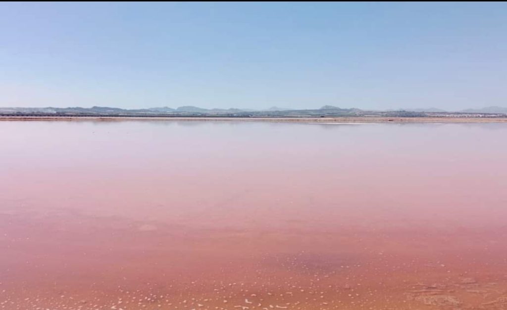 Investigadores de la UA y las salinas de Santa Pola