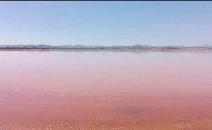 Investigadores de la UA y las salinas de Santa Pola