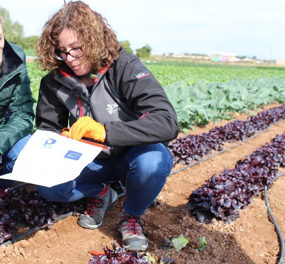 Agricultura ecológica