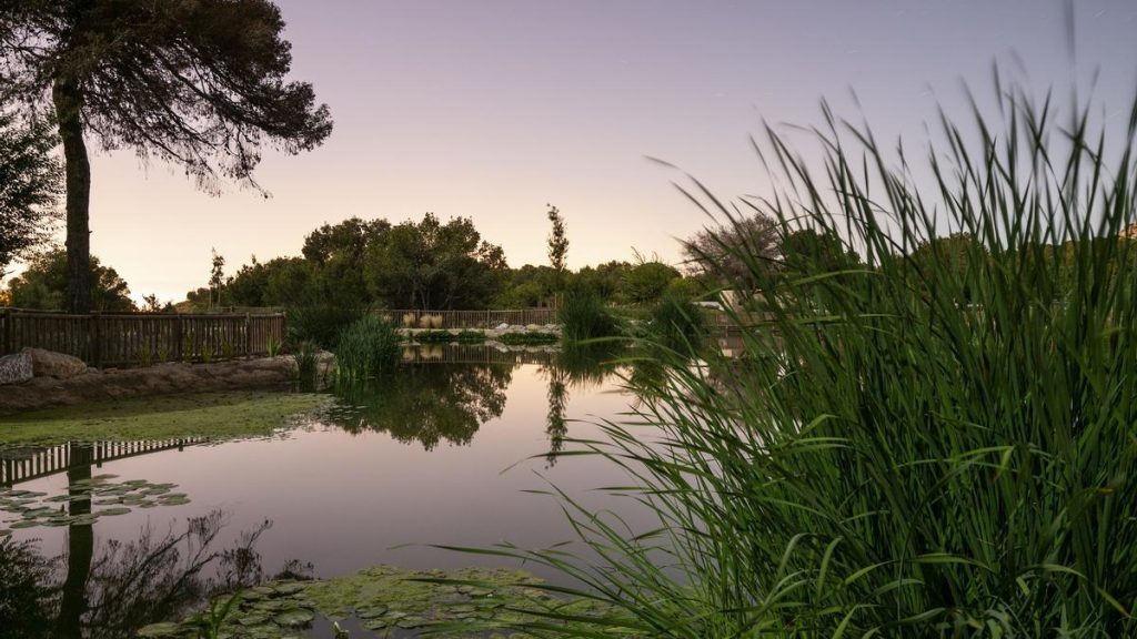 Cátedra Aguas de Alicante de Cambio Climático