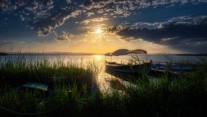 Impacto de la movilidad en la calidad medioambiental de la Albufera