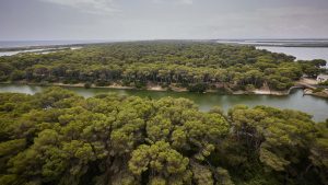 Frenar incendios y proteger a los vecinos de l'Albufera.