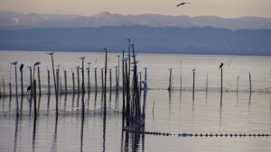 Valencia pone en valor la candidatura de l'Albufera como reserva de la biosfera de la Unesco en Fitur